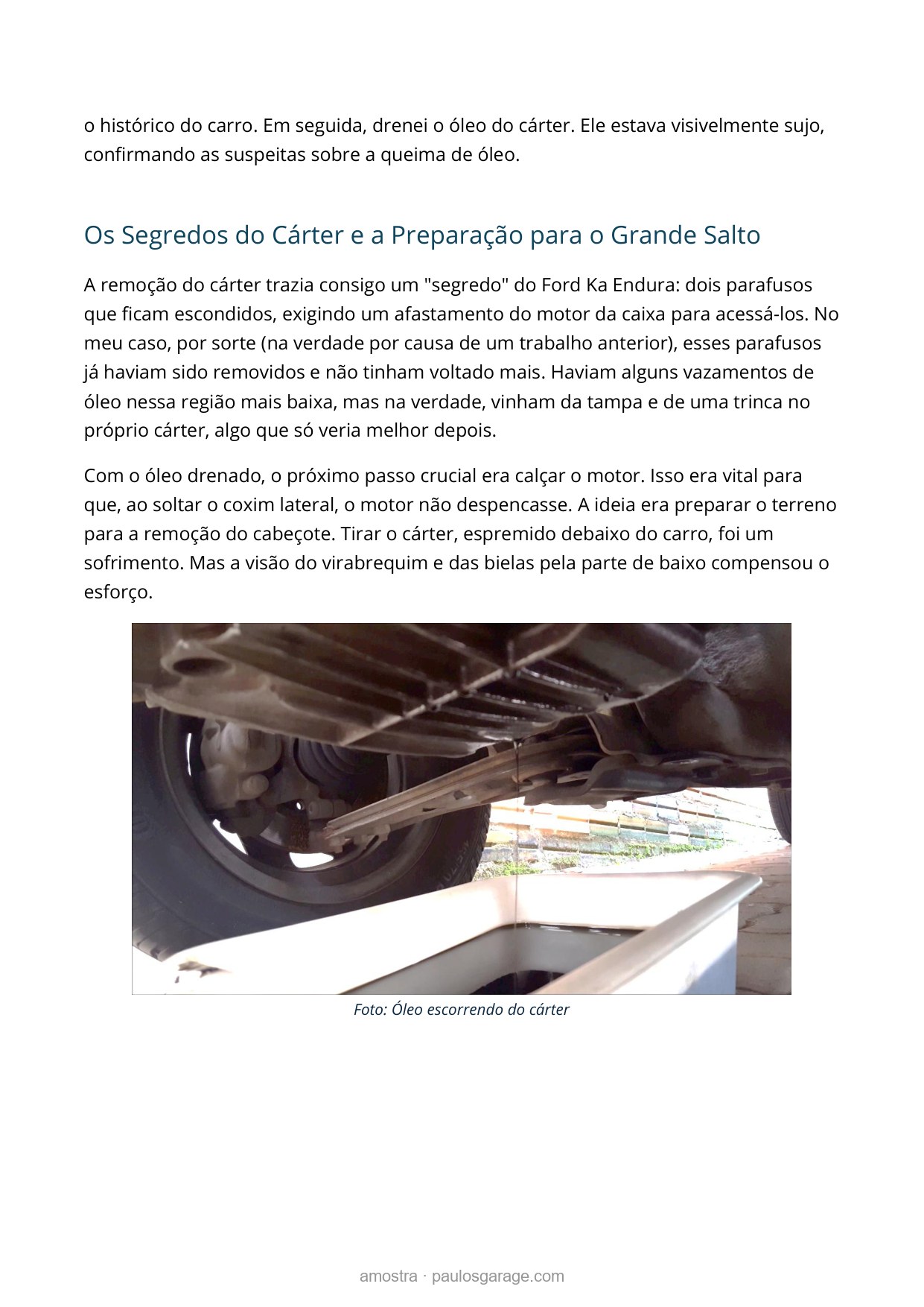 Amostra do livro — removendo o cárter e o segredo do Ford Ka Endura, com foto real